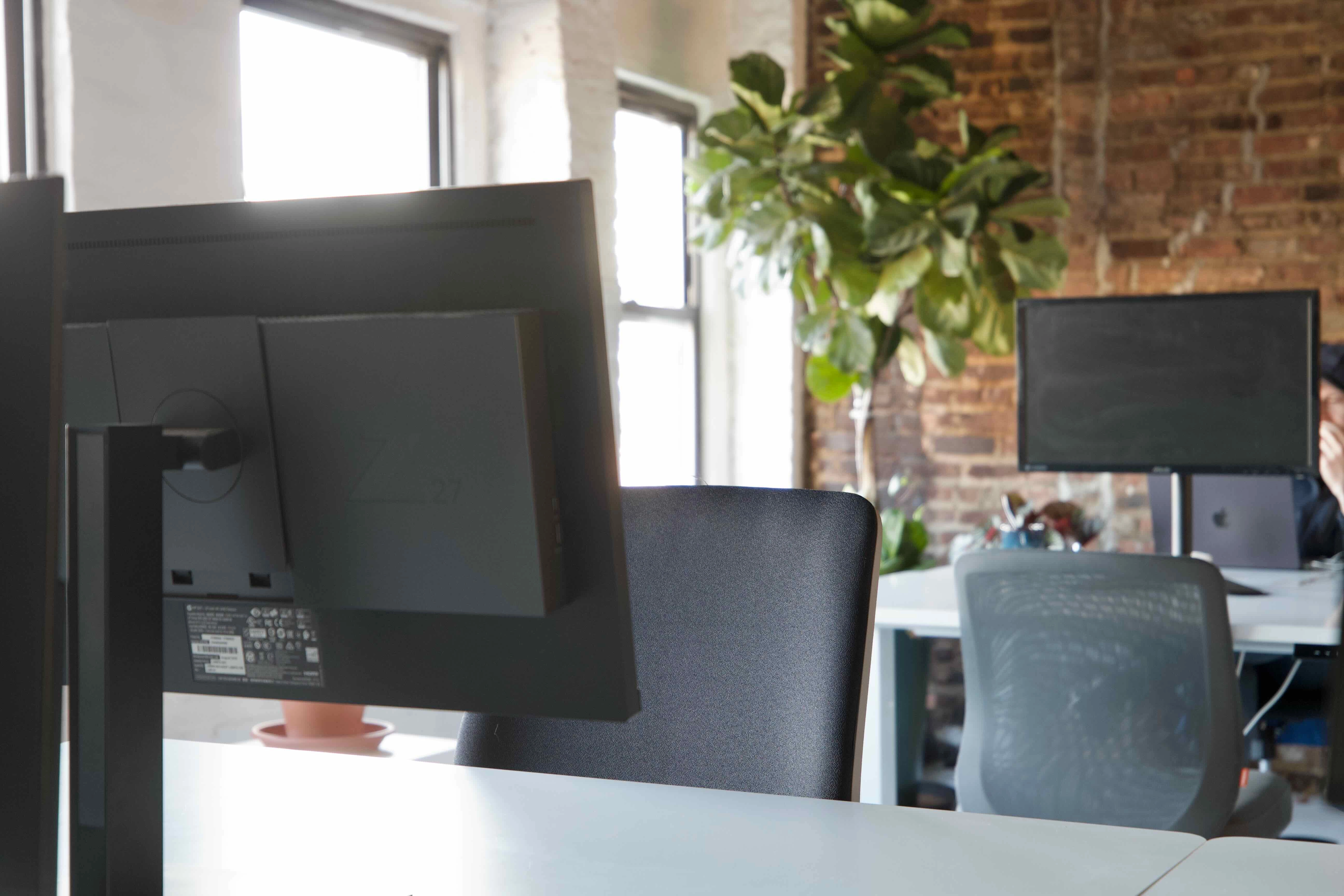 Two telos.haus members working on their laptops at dedicated desks.