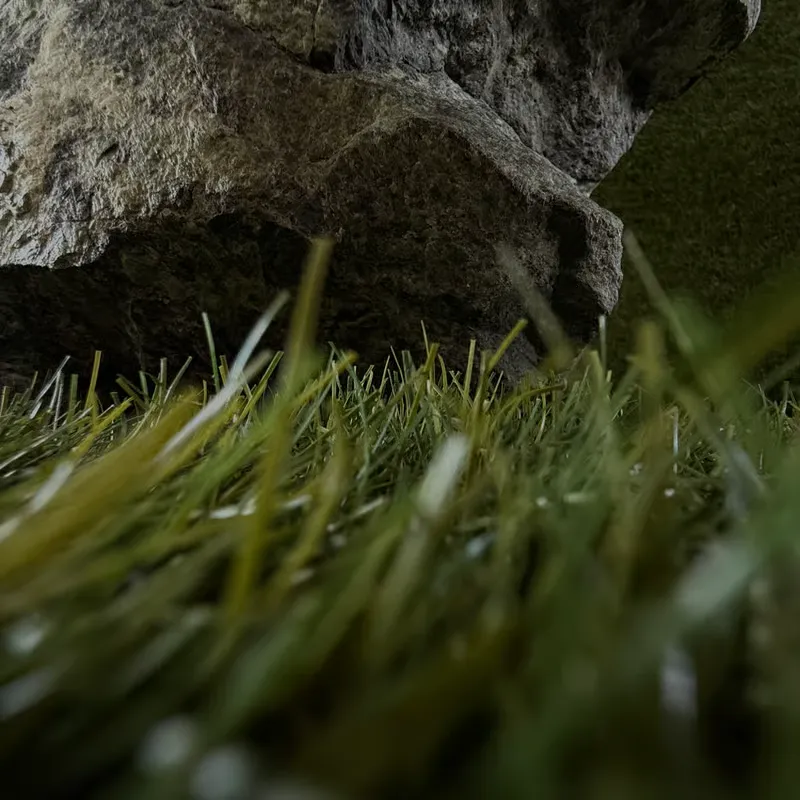 slow '"fashion" illustration with studio wenjüe lu'