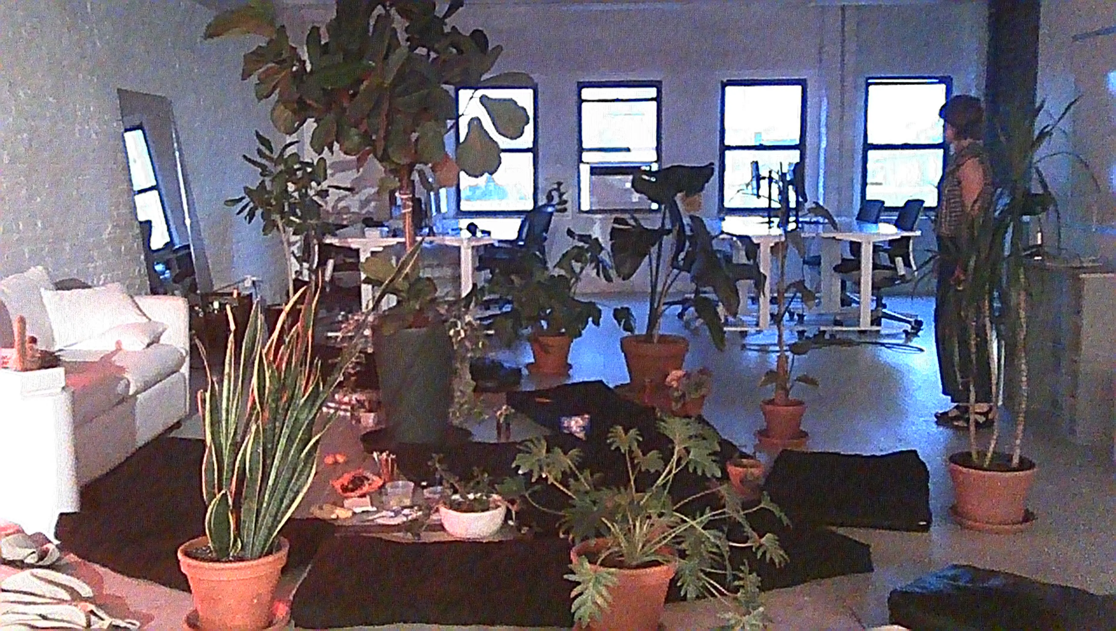 an unexpected jungle in the middle of telos.haus after a group therapy session involving spontaneous furniture arrangement. this photo was taken by halim as part of the course 'twa: total work of art' hosted at telos.haus in summer 2025.